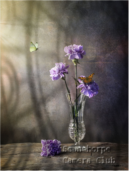  Purple Flowers